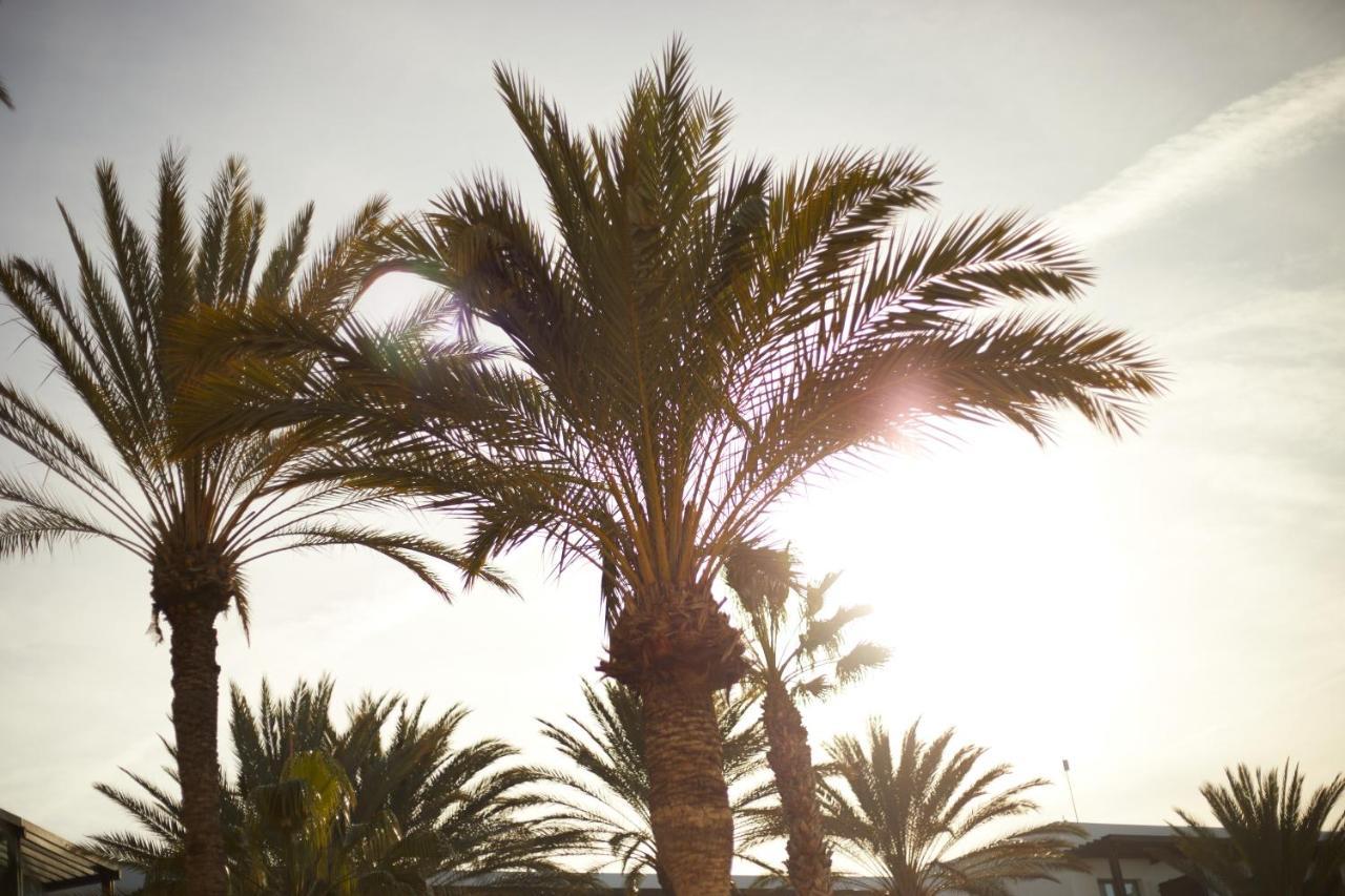 Secrets Lanzarote Resort & Spa - Adults Only Puerto Calero Exteriér fotografie Palm trees in the desert